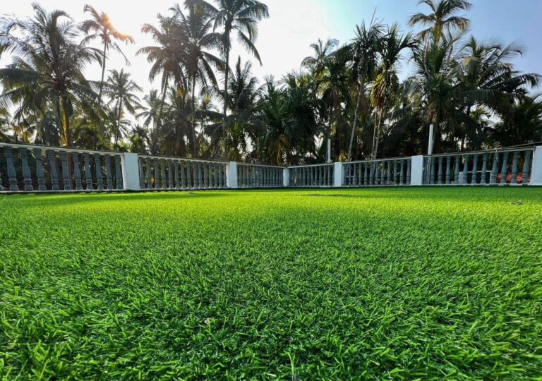 Vandana Villa, Alibag: The open terrace laid with turf, ringed by palms